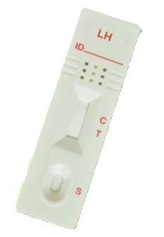 rapid ovulation test